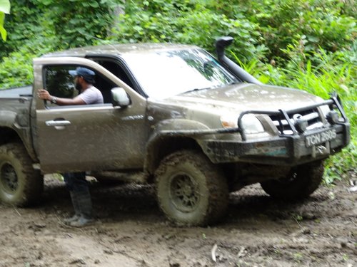 fox wid de sexy bumper.jpg