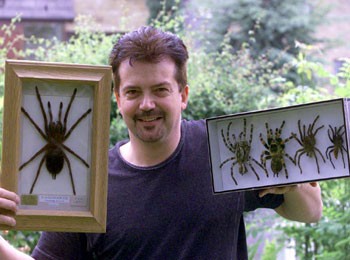 GedSpidermanA.jpg