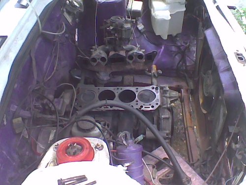38235664026_large.jpg