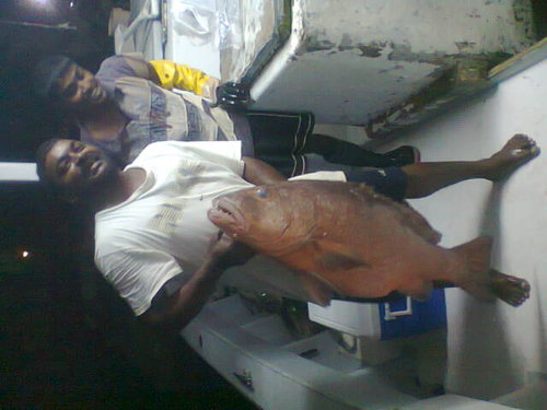 red snapper 1.jpg