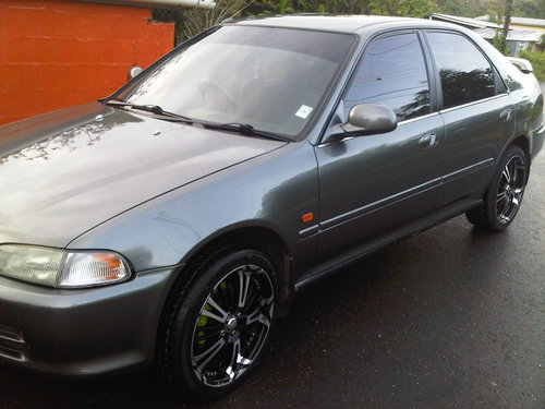 IMG01614-20120115-1747.jpg