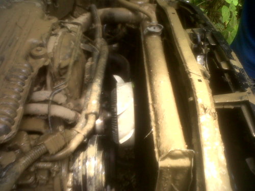 IMG00548-20120715-1243.jpg