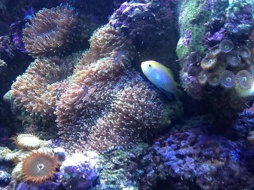 IMG_0404.JPG