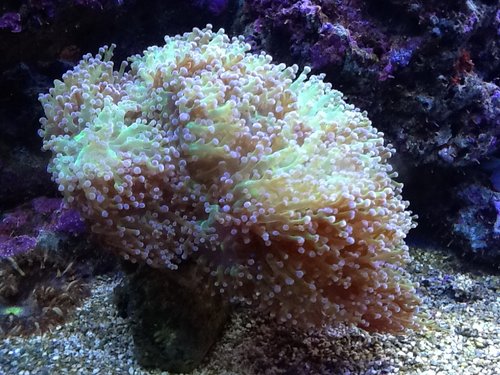 IMG_0800.JPG