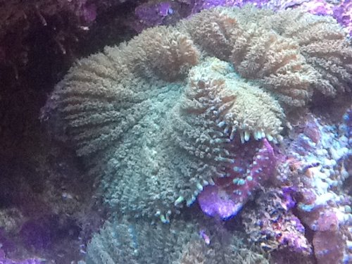 IMG_0914.JPG
