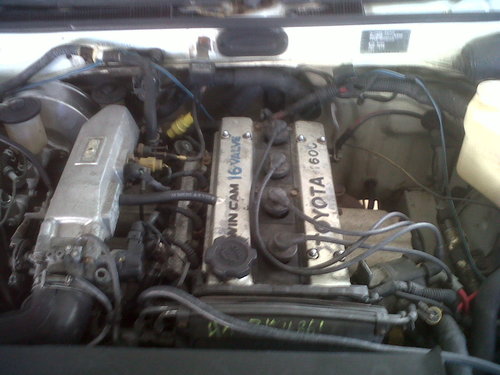 IMG00030-20120211-1545.jpg