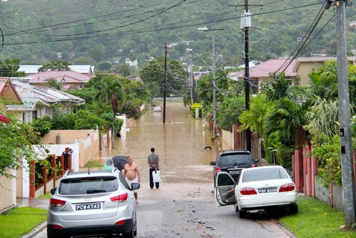 Petit Valley Elizabeth Street.jpg