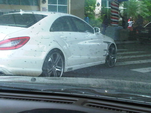 IMG-20120803-00325.jpg