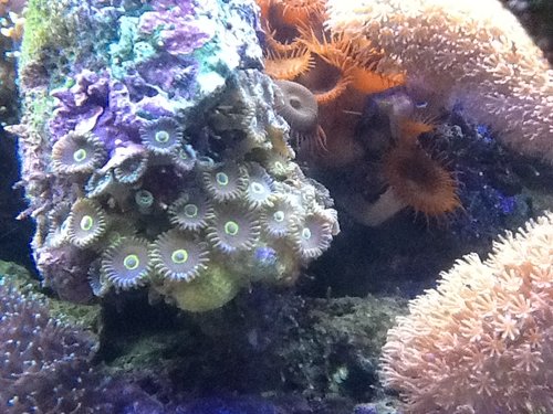 IMG_1269.JPG