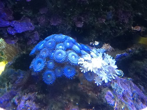 IMG_1273.JPG