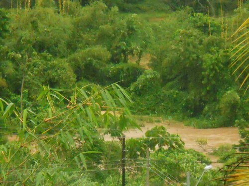 Santa Cruz River (by Jaggan Village).jpg