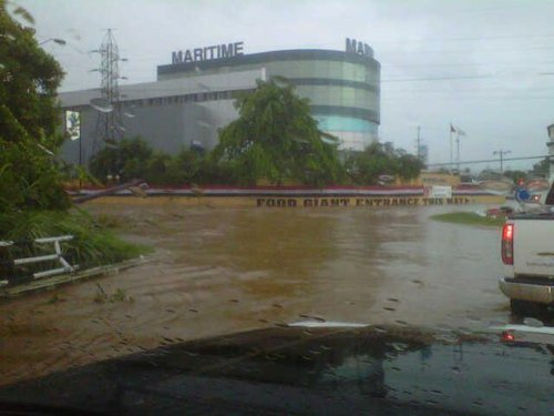 barataria.jpg