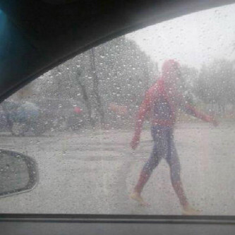 spiderman.jpeg
