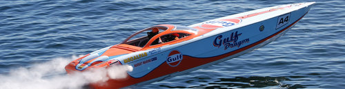 Gulf Dragon.jpg