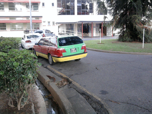 Photo0595.gif