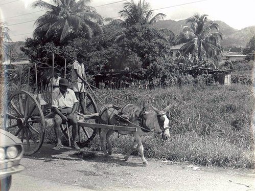 196719_4639228582761_1276041300_n.jpg