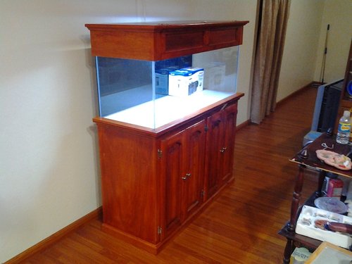 2011-12-09 18.56.00.jpg
