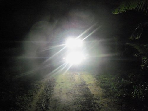 without camera adjustment.JPG