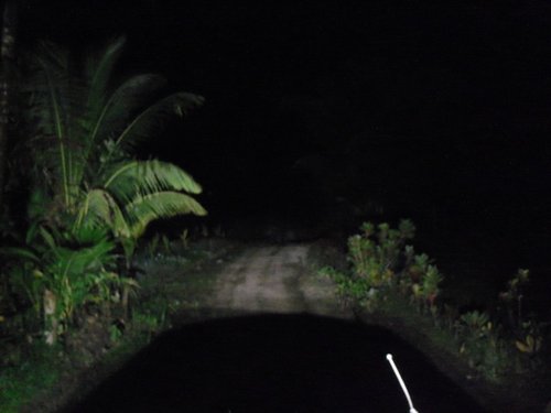 top night light.JPG
