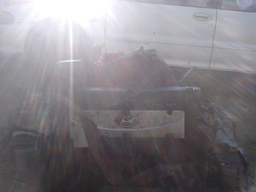 IMG00917.jpg