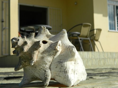 DSCN1849.JPG