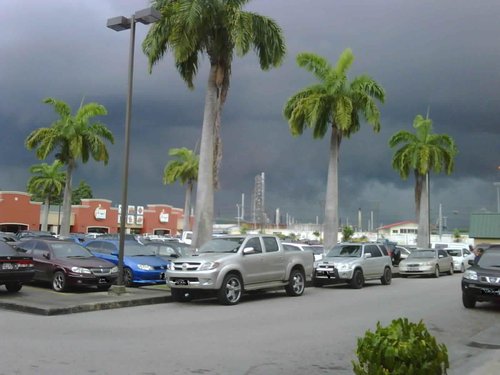 IMG01194.jpg