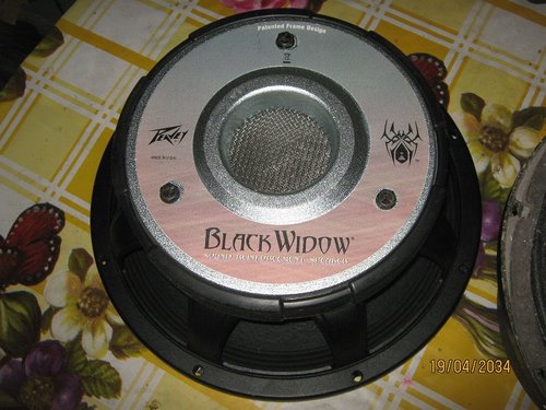 black widow 12.JPG