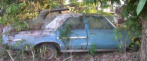 car3 (1).jpg