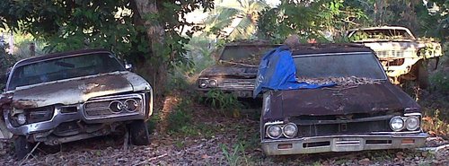 cars.jpg