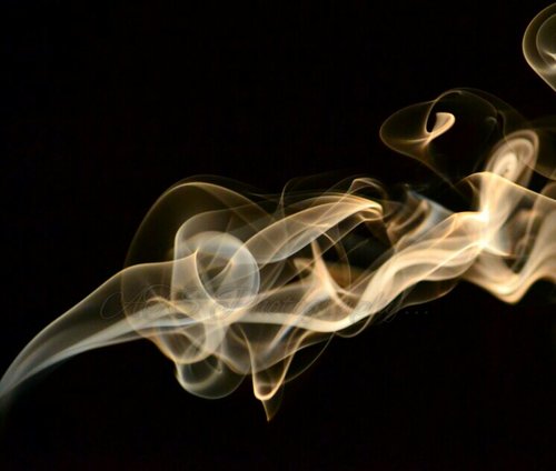 smoke_wm.jpg
