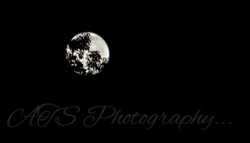 DSC_4780n.jpg