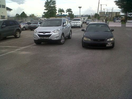 IMG00499-20121114-1609.jpg