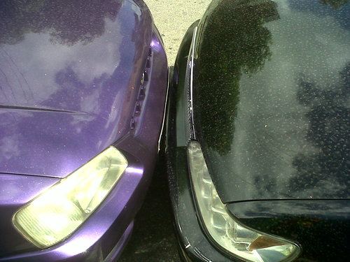 Car Kissing.jpg