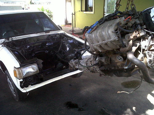 IMG00368-20121011-1414.jpg
