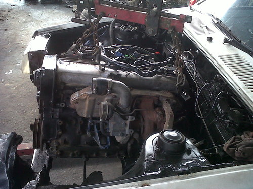 IMG00371-20121011-1524.jpg