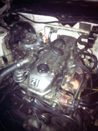 75289_406924686018574_357846921_n.jpg