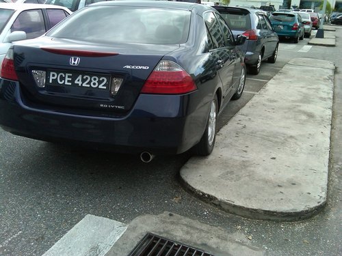 IMG00668-20121203-1529.jpg