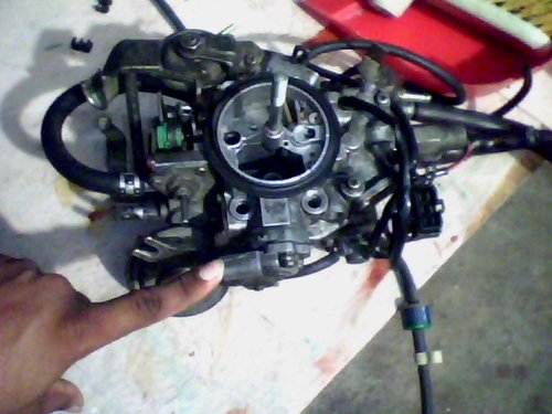IMG0043A.jpg
