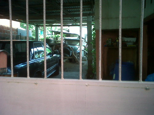 IMG00083-20101227-1022.jpg