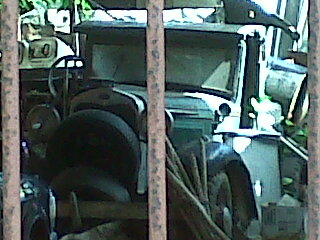 IMG00084-20101227-1023.jpg