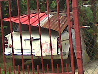IMG00097-20101227-1338.jpg