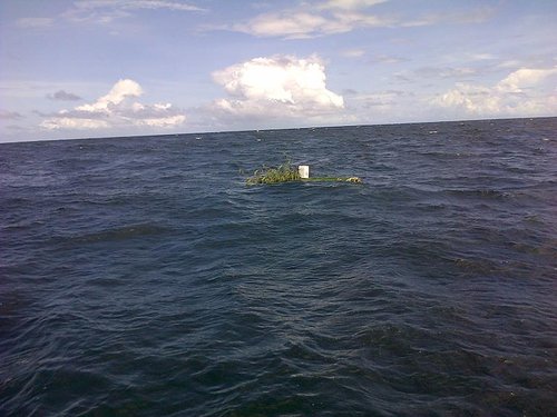 IMG-20121117-00025.jpg