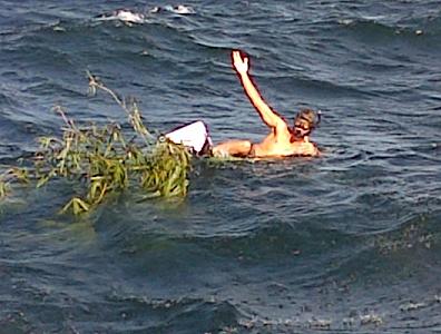 IMG-20121117-00029.jpg
