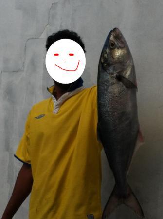 ancho.JPG