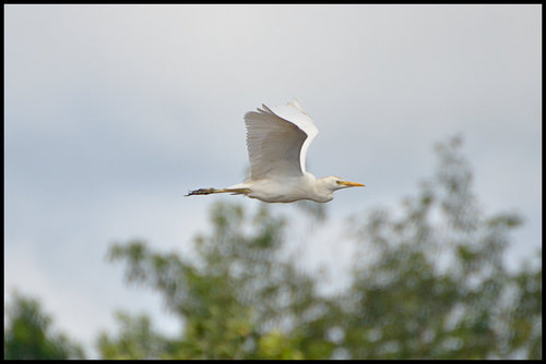 DSC_7657.jpg