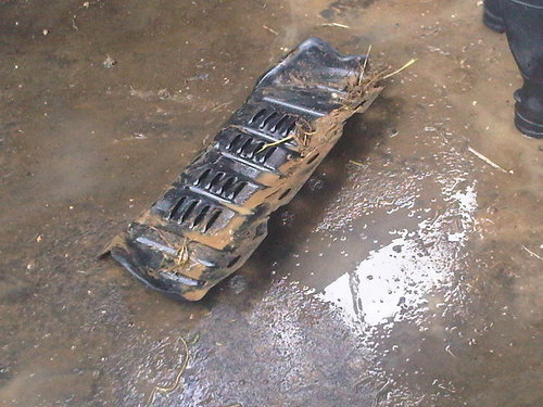 IMG00031-20101008-1058.jpg