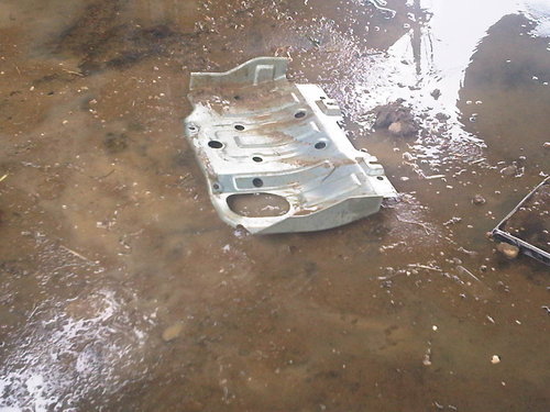 IMG00032-20101008-1058.jpg