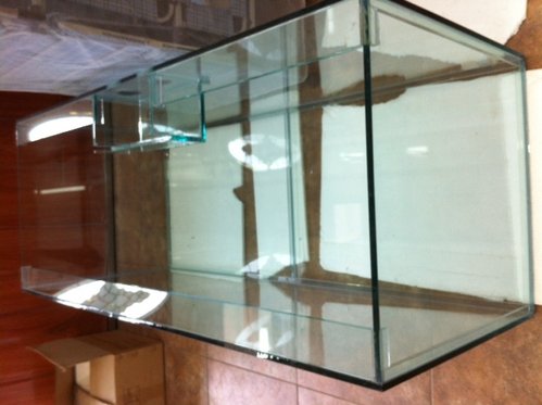 photo.JPG