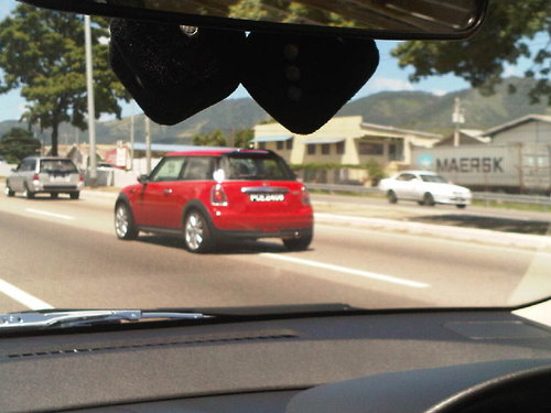 IMG00145-20101023-1048.jpg