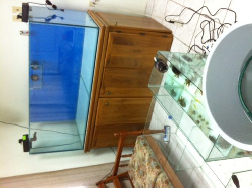 photo-1.JPG